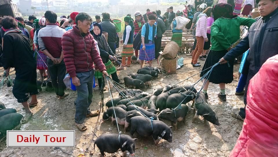 Ha Giang Amazing Hostel المظهر الخارجي الصورة