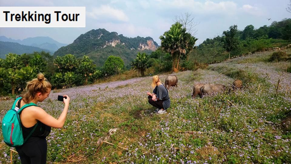 Ha Giang Amazing Hostel المظهر الخارجي الصورة